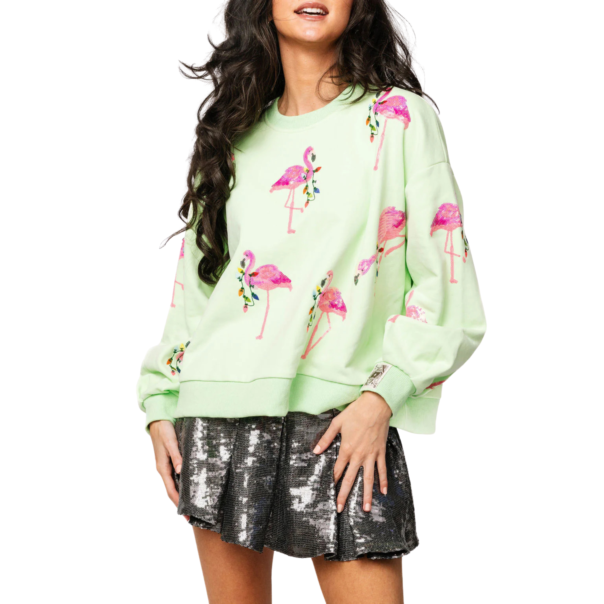 Mint Flamingo Wearing Christmas Light Necklace Sweatshirt-Fairley Fancy