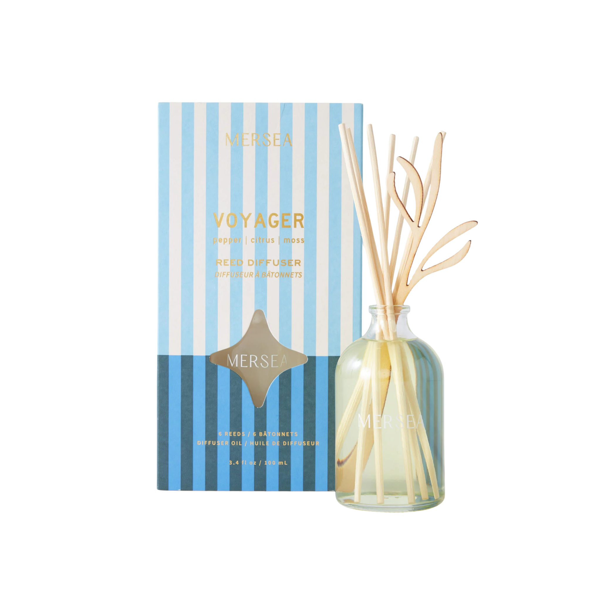 Reed Diffuser in Voyager Front View