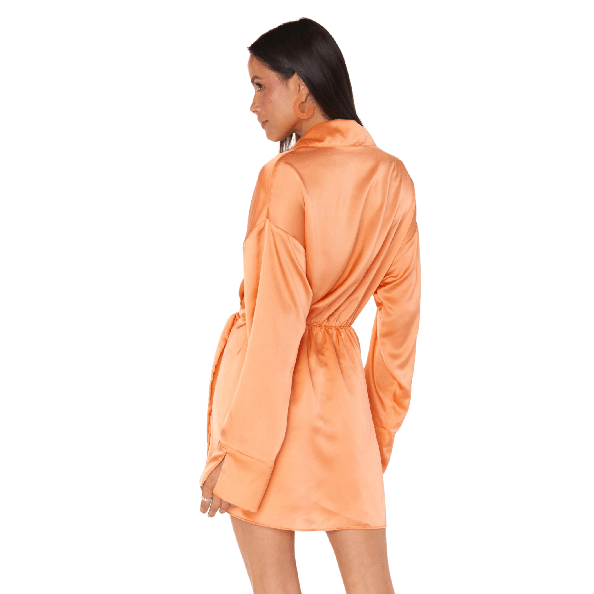 Clara Collared Mini Dress - Fairley Fancy