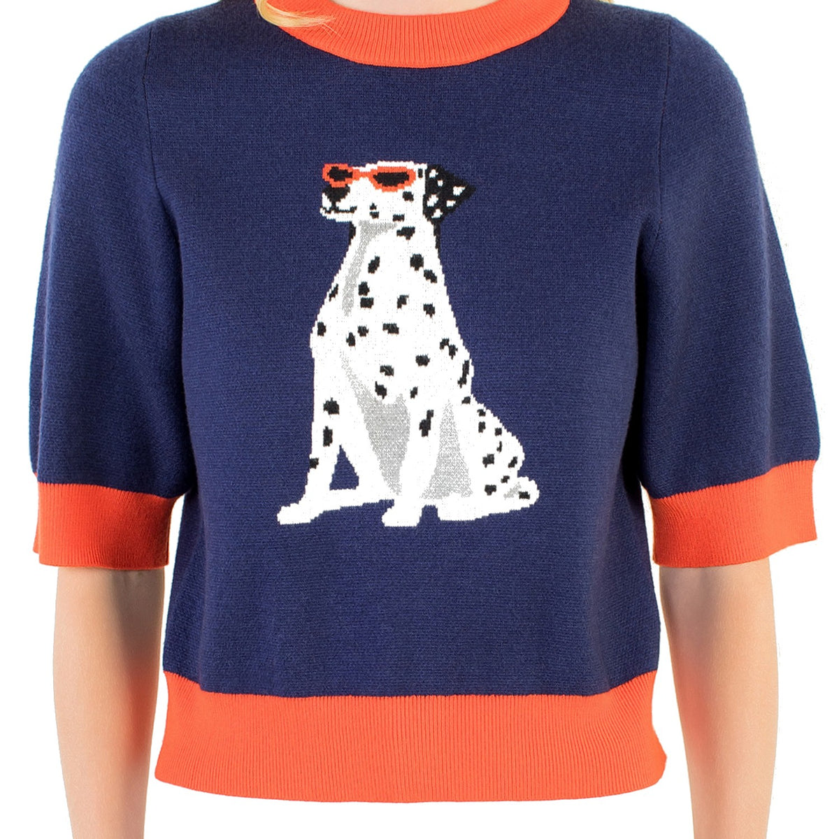 Dalmatian Dog Sweater - Fairley Fancy