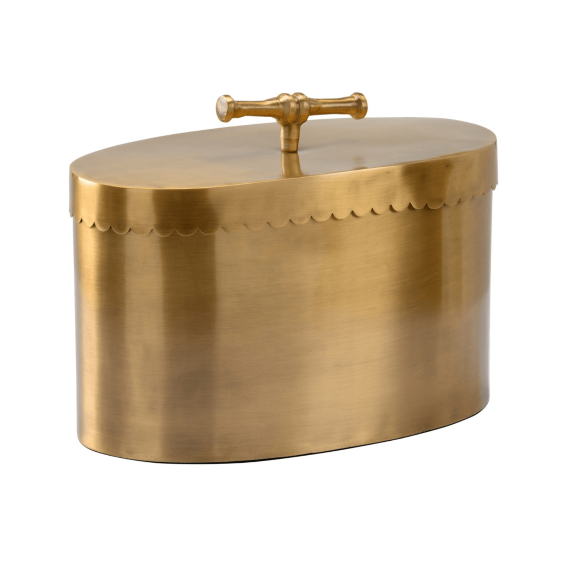 Large Buttercup Brass Box - Fairley Fancy