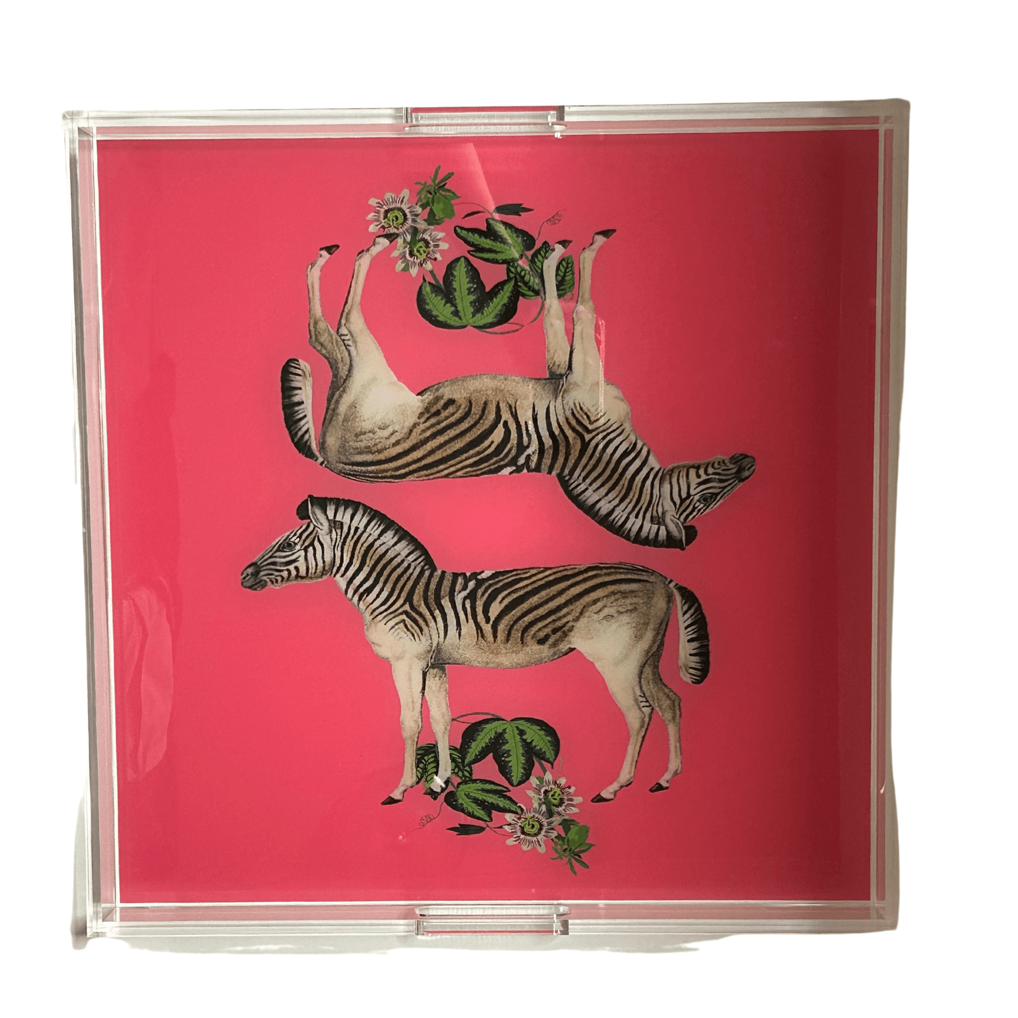 Zebras Seeing Double Pink Square Acrylic Tray - Fairley Fancy