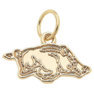 Arkansas Razorbacks Shiny Gold Logo Charm-Fairley Fancy