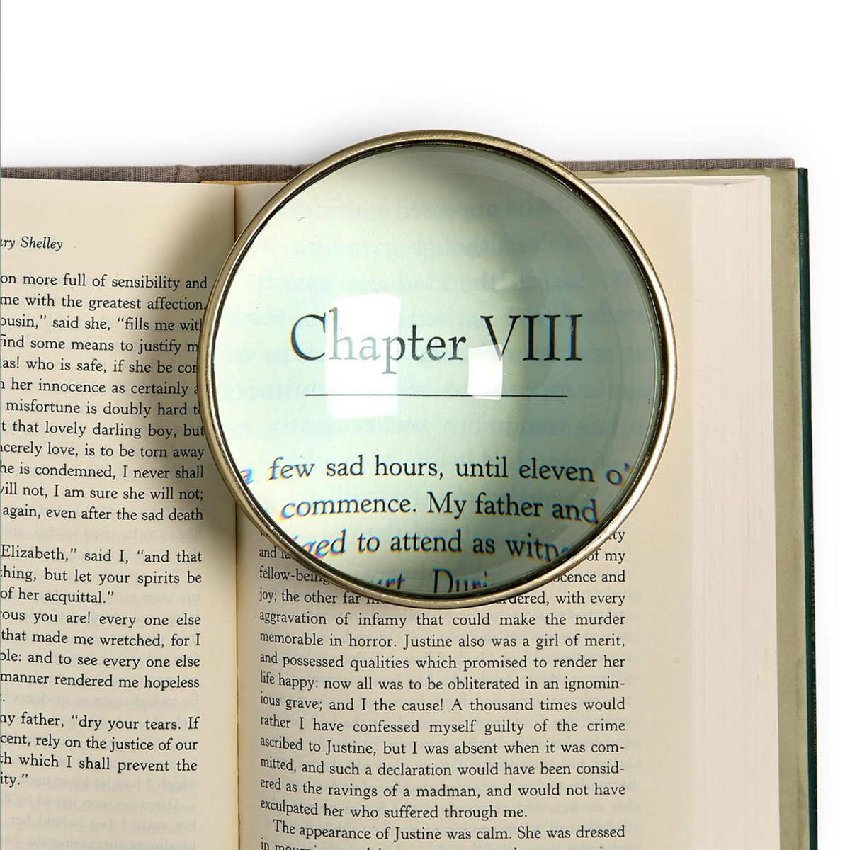 Magnifying glass over an open book focusing on 'Chapter VIII'.