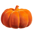 Flocked Pumpkin-Fairley Fancy