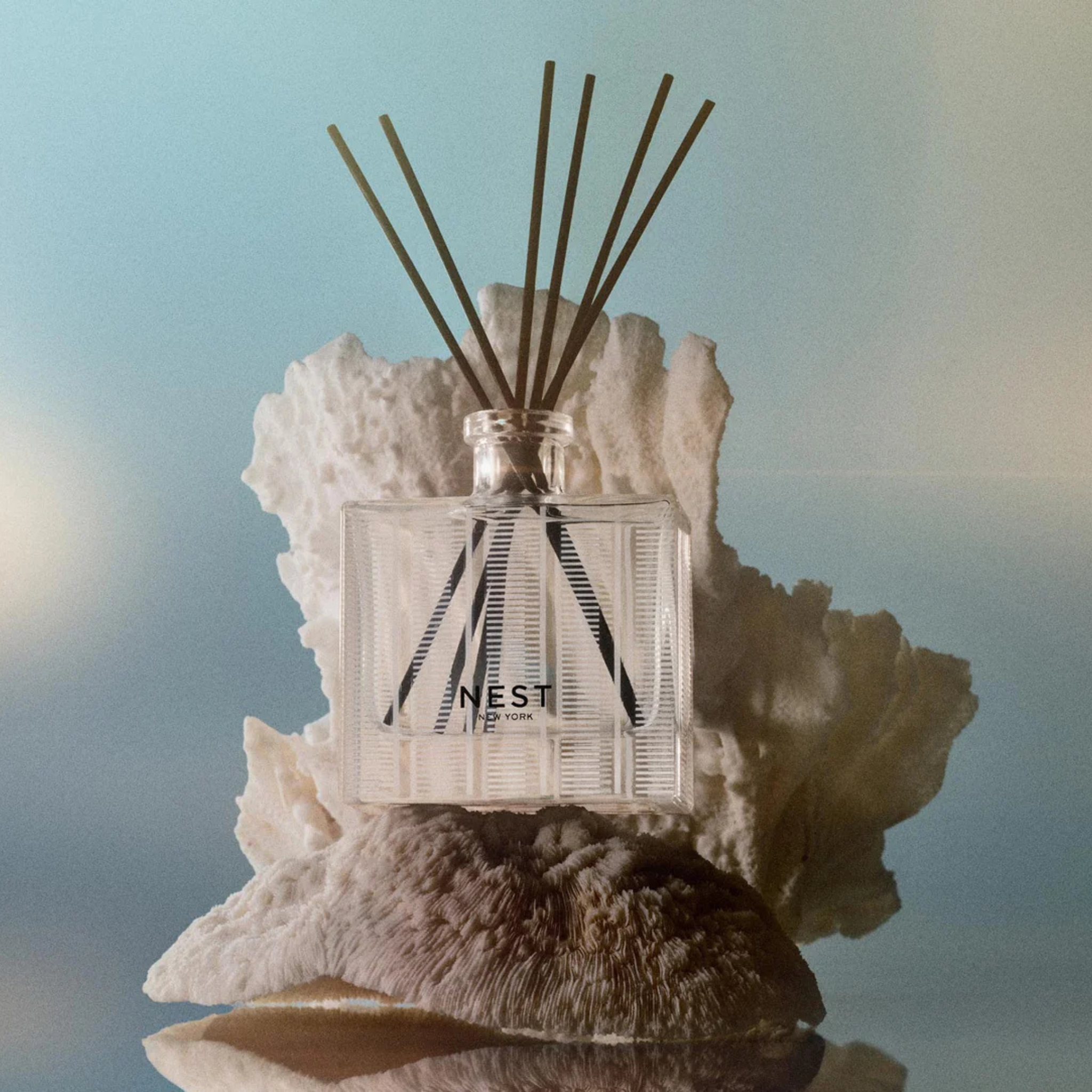 Ocean Mist & Sea Salt Reed Diffuser-Fairley Fancy