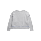 American Flag Relaxed Sweatshirt in Grey Back View 