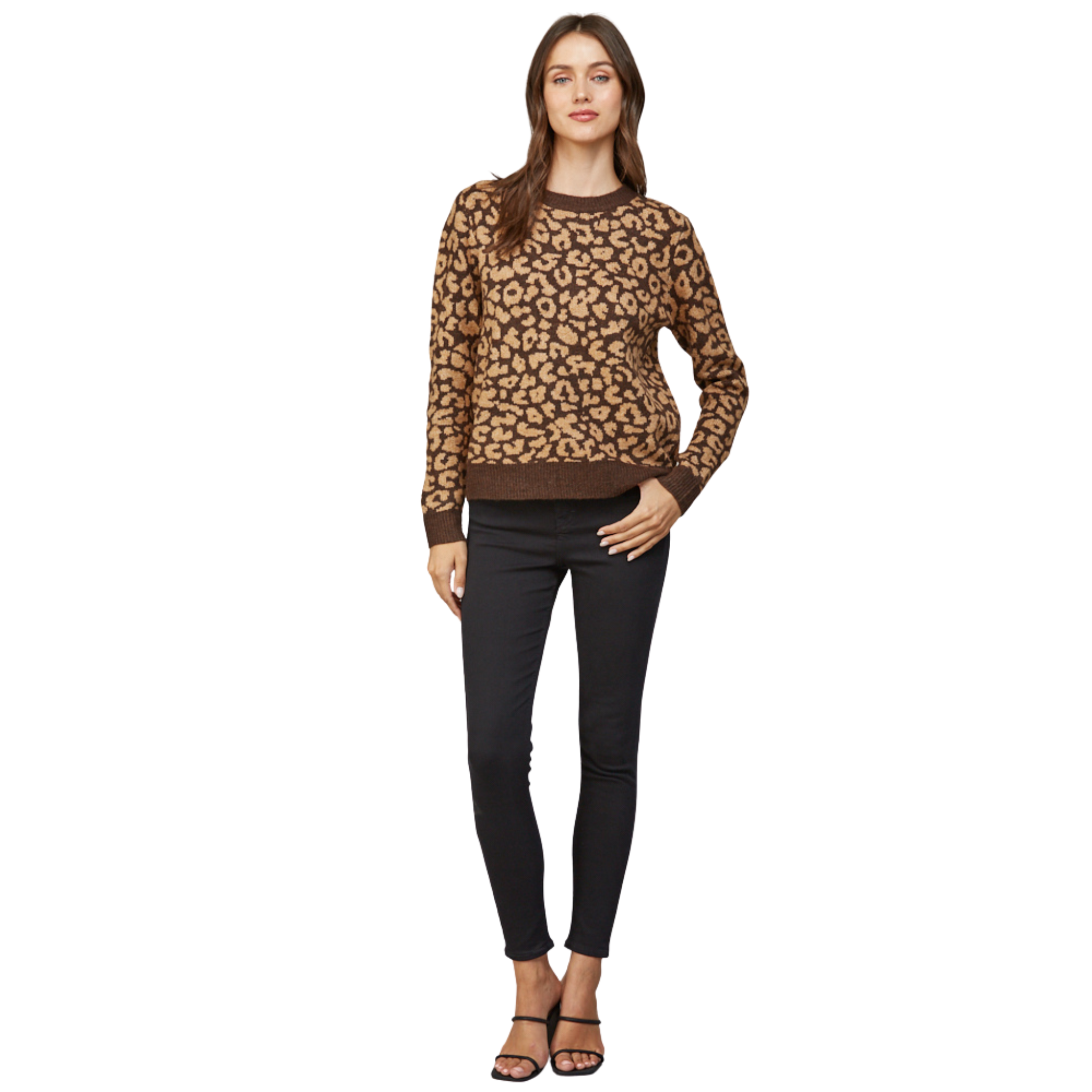 Wild at Heart Crew Neck Sweater-Fairley Fancy