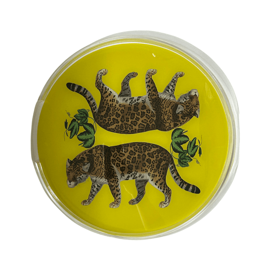 Leopard Seeing Double Hot Yellow Acrylic Tray 16" Round - Fairley Fancy 