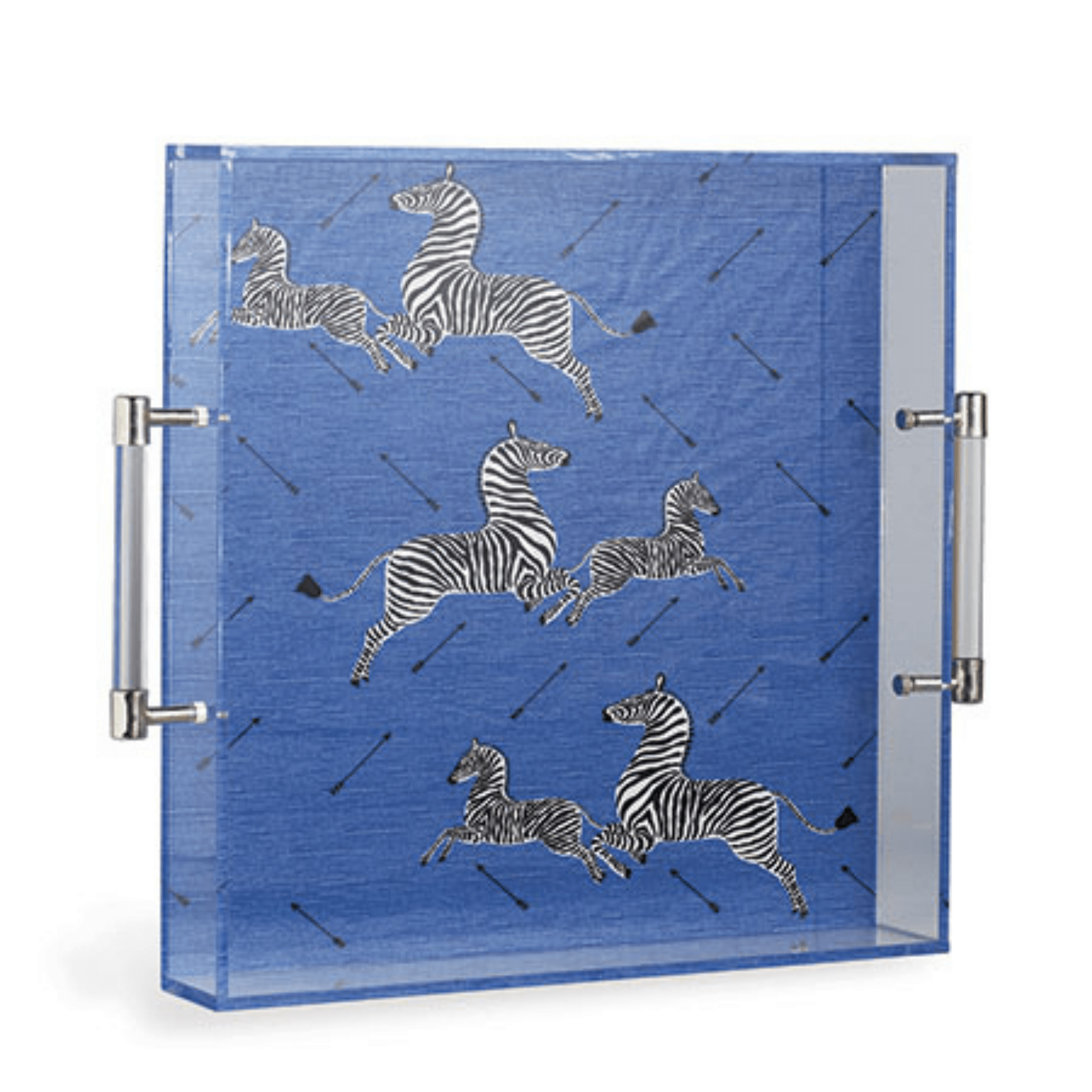 Zebra Blue Lucite Tray - Fairley Fancy 