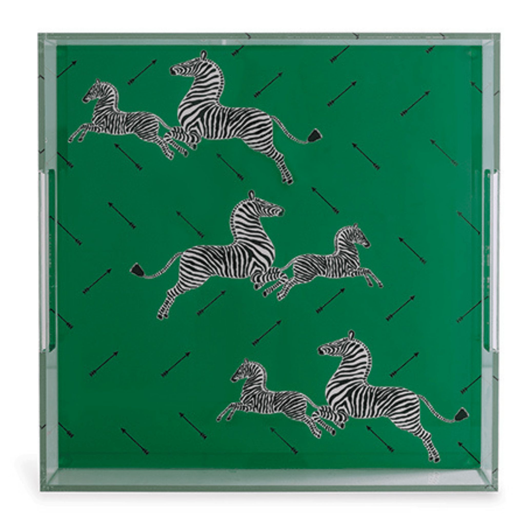 Zebra Green Lucite Tray - Fairley Fancy 